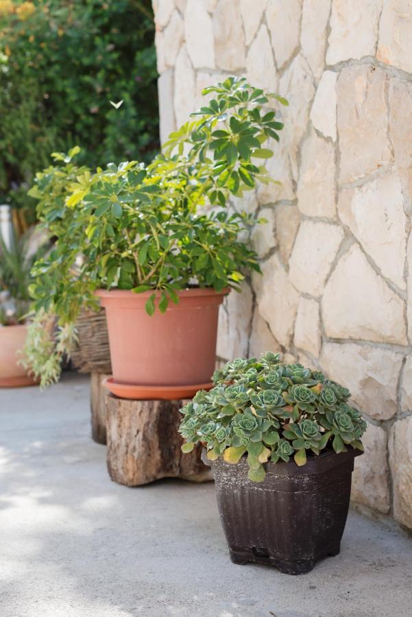 Guesthouse Sanela Pomena Εξωτερικό φωτογραφία
